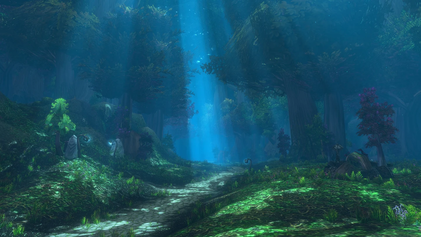 Forest with shafts of light